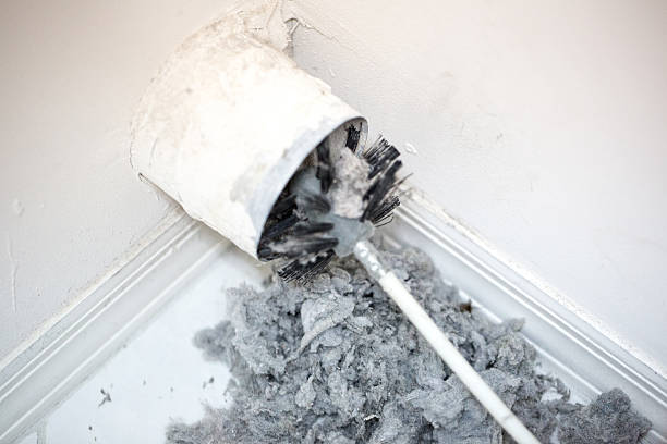 Best Air Duct Sanitizing Services  in Lomira, WI